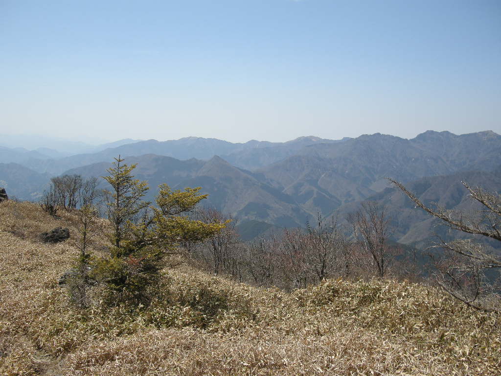 ゴールデンウイークは四国　塔丸・三嶺～天狗塚・赤星山へ_b0185573_80661.jpg