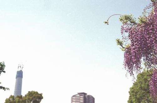 c0124773_10152444.jpg