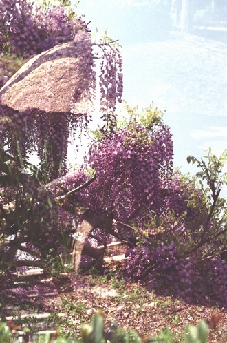 c0124773_1017563.jpg