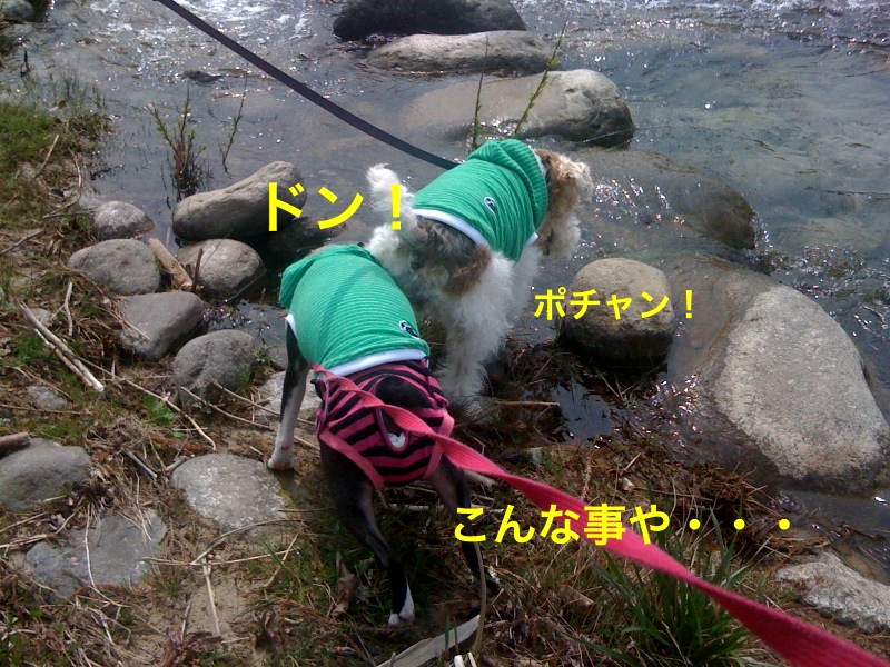 新青森県総合運動公園〜アリーナ〜_f0168374_2243185.jpg