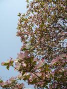 c0051376_23181885.jpg
