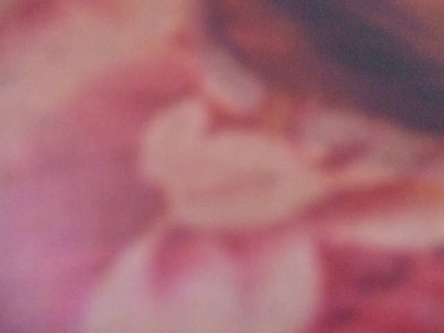 d0084677_72284.jpg