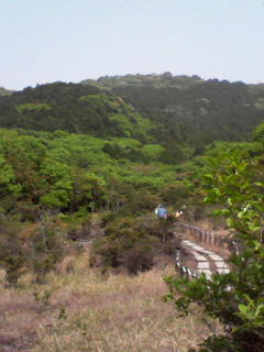 c0180581_22314716.jpg