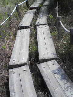 c0180581_22321090.jpg
