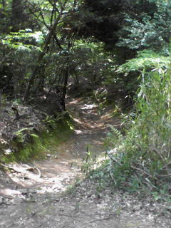 c0180581_22322067.jpg