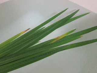 f0199081_13245746.jpg