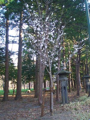 c0221884_235759.jpg