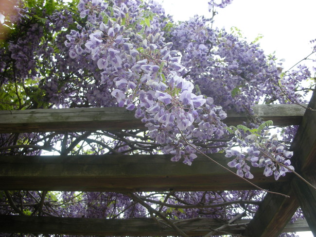 f0232785_17535757.jpg
