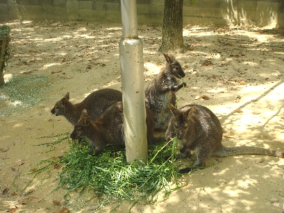b0075888_1015566.jpg