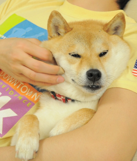 久しぶりだね。_a0126590_23414520.jpg