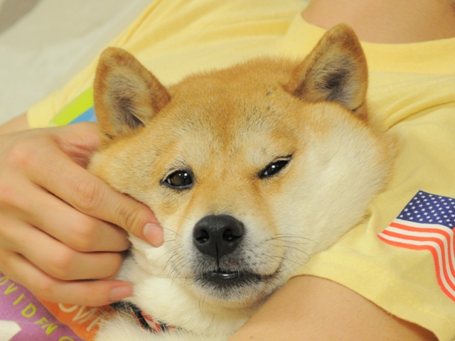 久しぶりだね。_a0126590_23505097.jpg