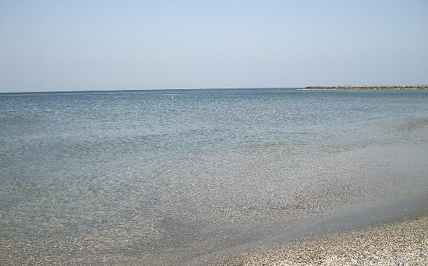 f0125091_137891.jpg