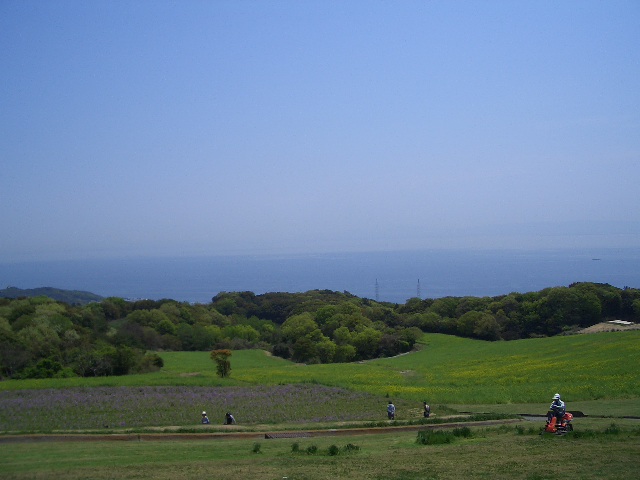 e0146892_1145682.jpg