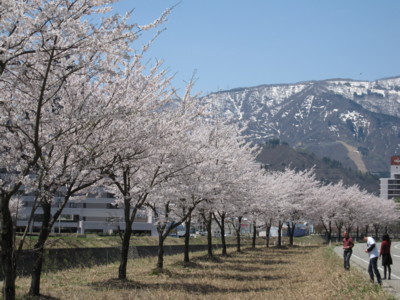 １０　ゴールデンウィークの旅　そのに_f0145192_1545448.jpg