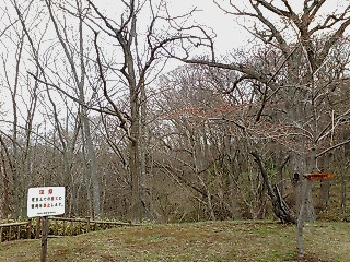 c0205393_2159554.jpg