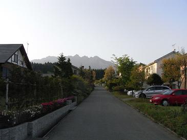 e0048994_45152.jpg