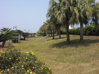 f0166694_2152160.jpg