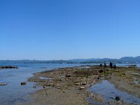 f0079996_15595693.jpg