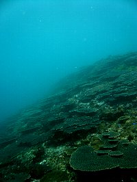 f0079996_1674533.jpg