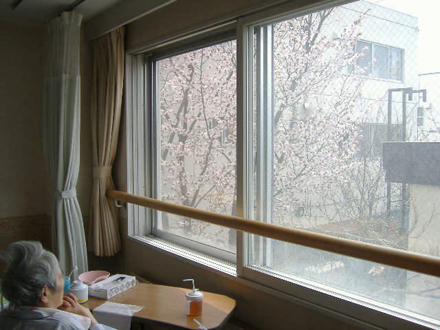 お花見！！_b0159098_1142438.jpg