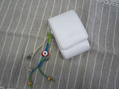 c0085098_1025021.gif