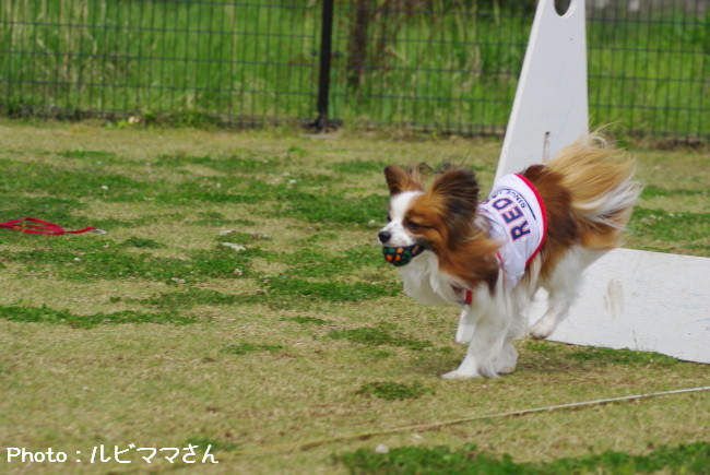 c0044199_1134576.jpg