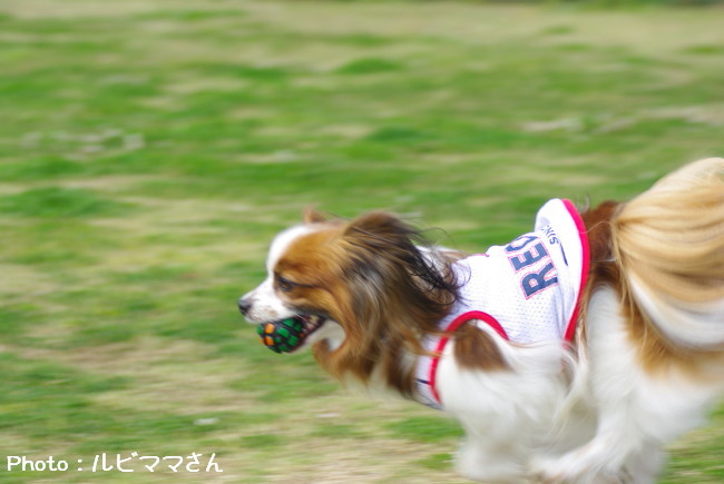 c0044199_1135366.jpg