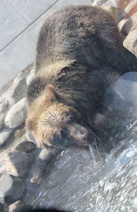 c0155902_20401959.jpg