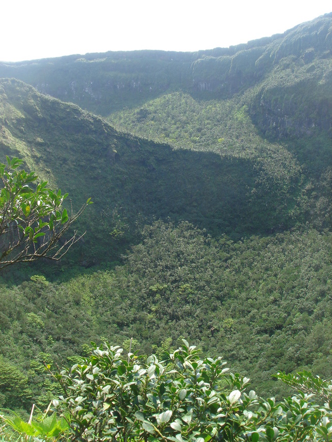 八丈島の旅　1_a0070104_16515573.jpg