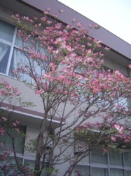 c0052304_23933100.jpg