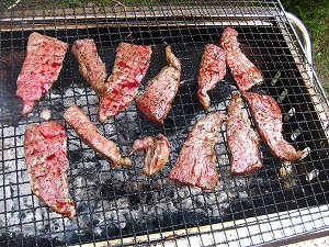 BBQ in GW_a0036808_11435630.jpg