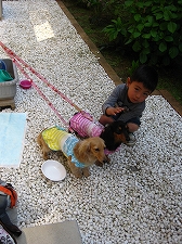 BBQ in GW_a0036808_11543289.jpg