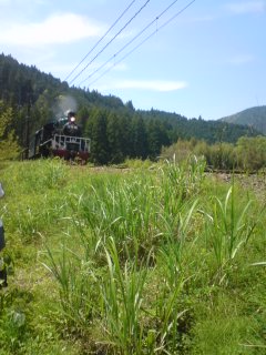 b0085408_16515030.jpg