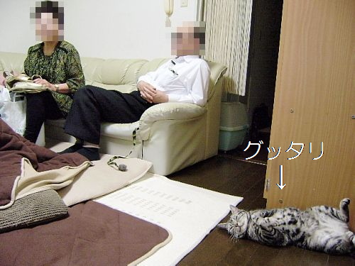 c0211109_1364496.jpg