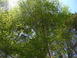 c0201910_22554297.jpg