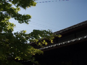 GW_d0116910_2328764.jpg