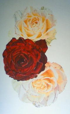 展覧会■10/6/9-14 薔薇咲いてふわりⅡ -藤本理江展- 【パステル画】_e0091712_6551378.jpg