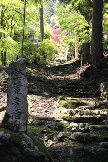 阿弥陀寺 山寺3_e0048413_1955187.jpg