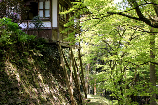 阿弥陀寺 山寺3_e0048413_19561072.jpg