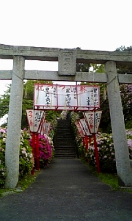 c0203514_20375117.jpg