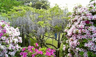 c0203514_2038161.jpg