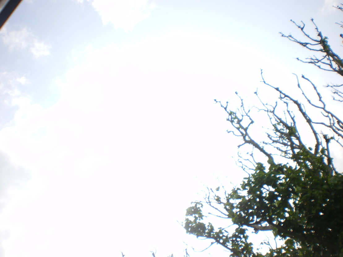 f0236314_12523758.jpg