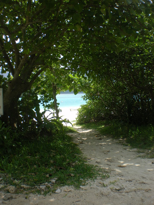 f0236314_1351358.jpg