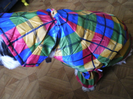 c0124619_325124.jpg