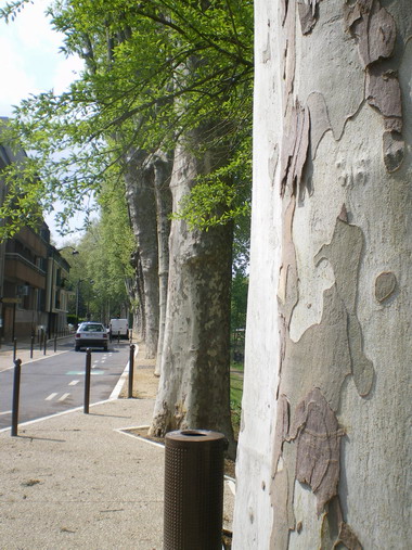 c0124619_326382.jpg