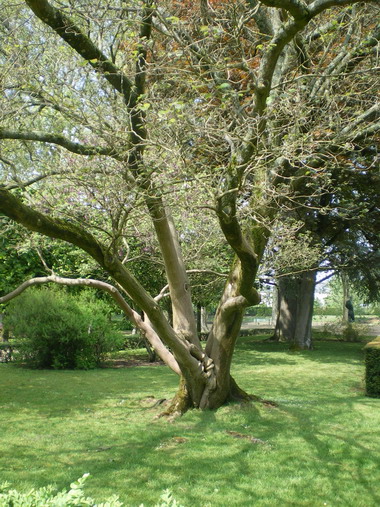 c0124619_3275876.jpg