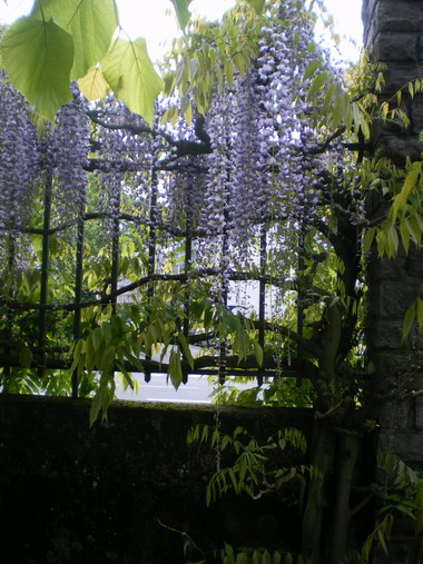 c0124619_3285840.jpg