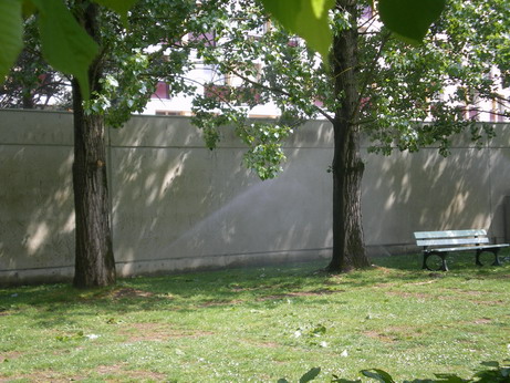 c0124619_3291950.jpg