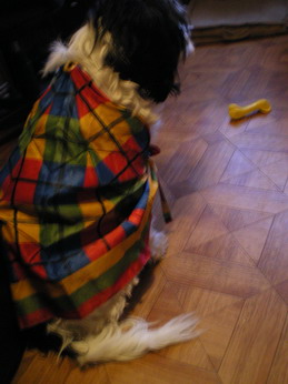 c0124619_3372811.jpg