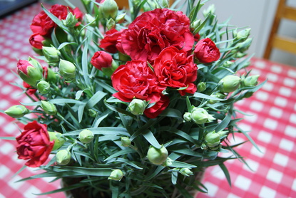 c0020320_1951526.jpg